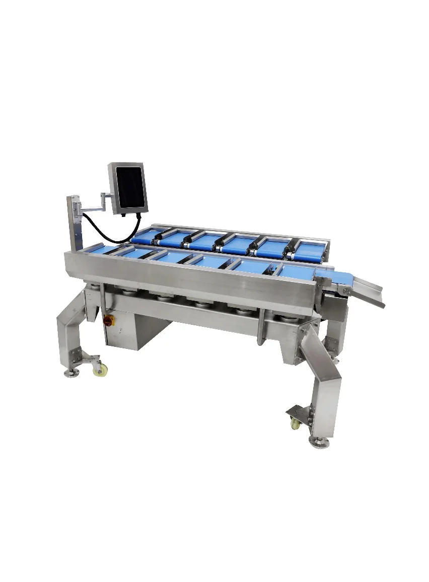Sản phẩm REHOO MHW-10, Cân tổ hợp định lượng