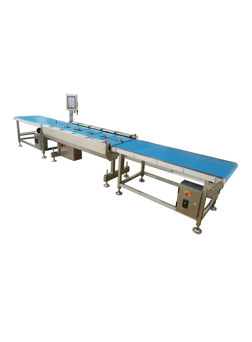 Sản phẩm REHOO MHW-S4, Dây chuyền cân định lượng